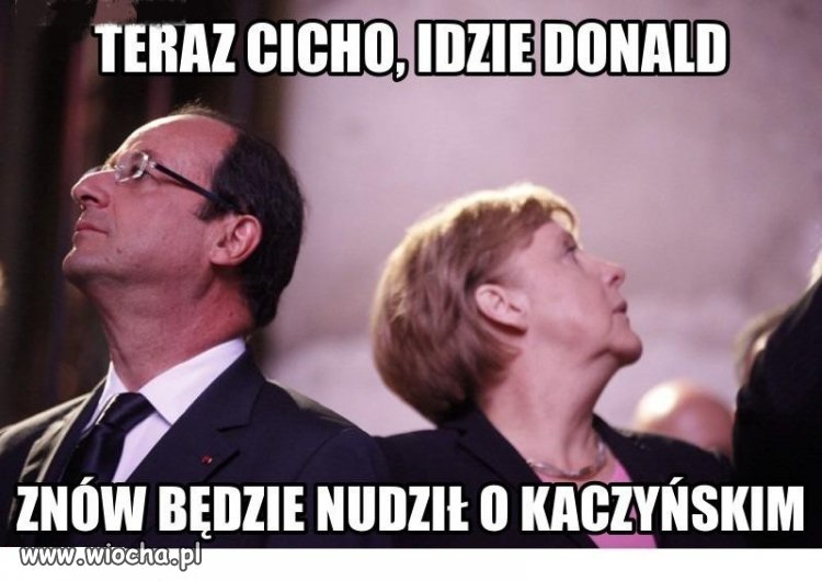 Nie tylko tam nudzą platfusy