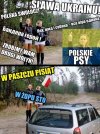 Jak zawsze w gębie mocni
