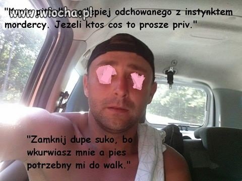 Kupię pitbulla  odchowanego z instynktem mordercy