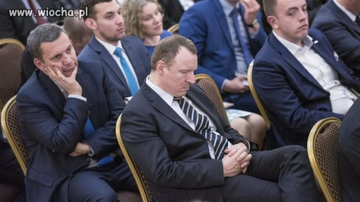  " aaa,kotki dwa..."