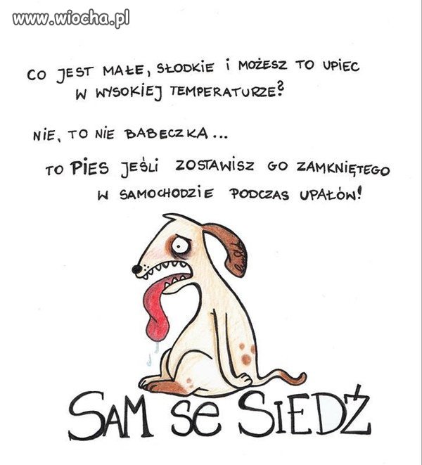 Tak dla przypomnienia