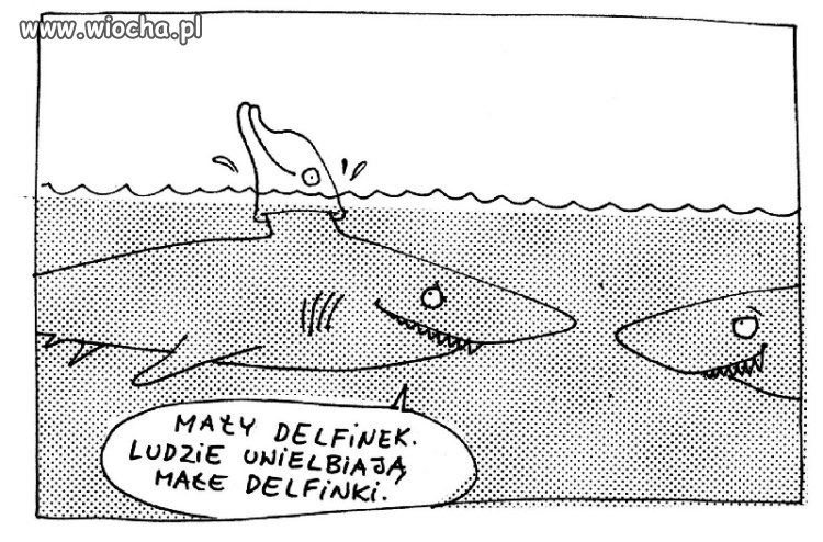 Ryby i rekiny