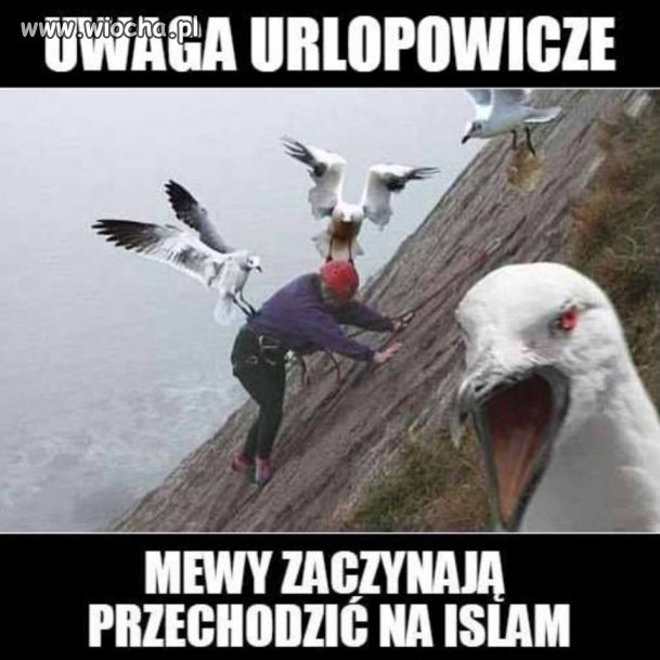Omijajcie plaże w Niemczech i we Francji 