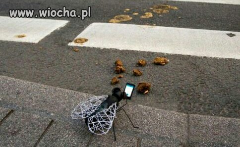 Tak widzę laski które robią zdjęcia swojego żarcia