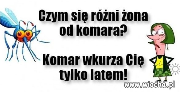 Pytanie...