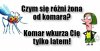 Pytanie...