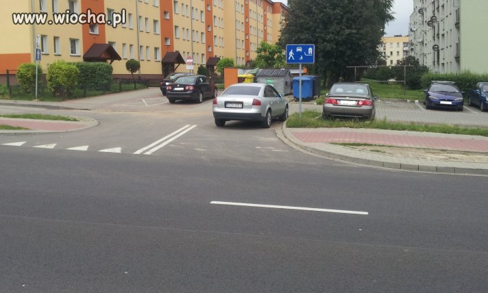 Mistrz parkowania w tedeji
