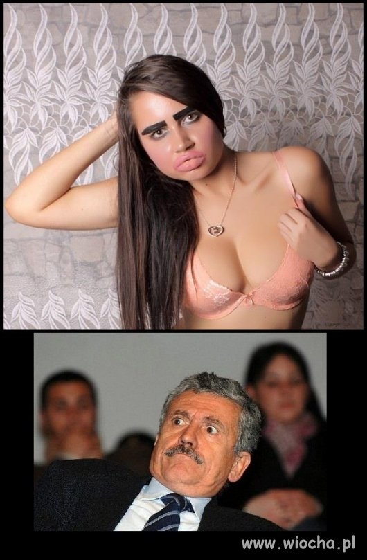 Legendarny ssak