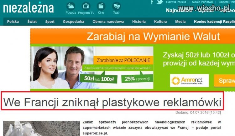 Profesjonalne dziennikarstwo