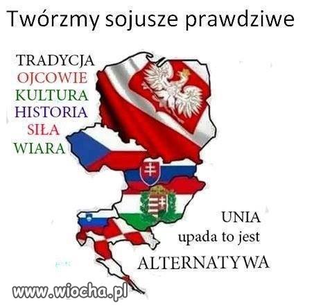Twórzmy Sojusze Prawdziwe!!