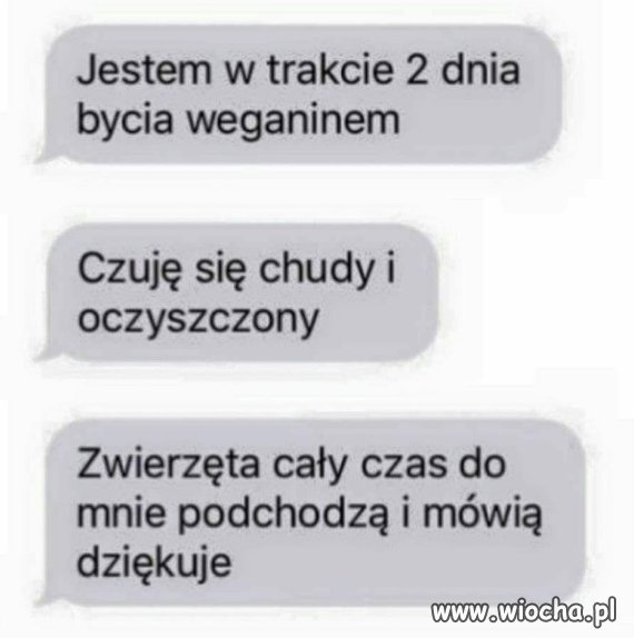 Początkujący weganin.