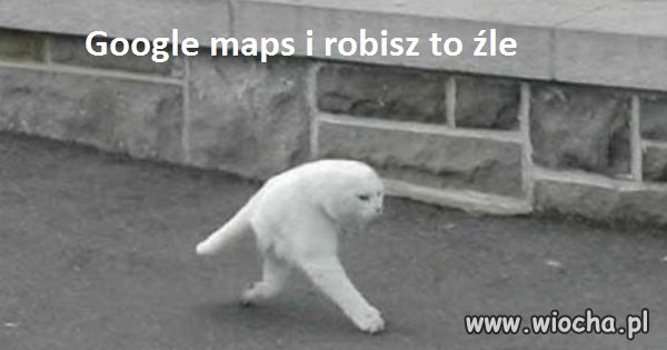 Google maps