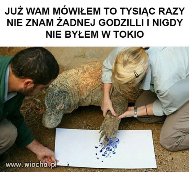 Nie znam żadnej godżilli