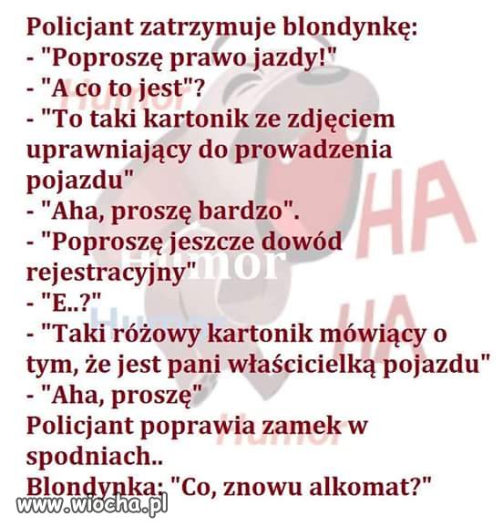 Kontrola