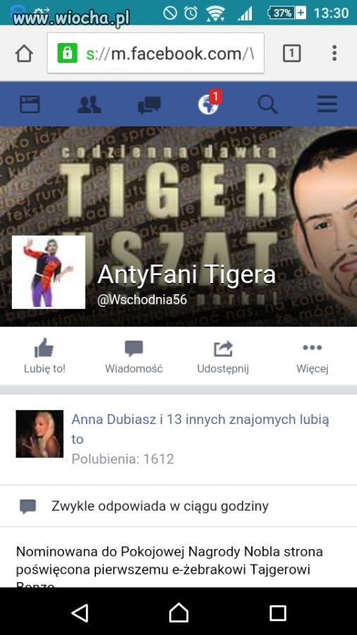 Antyfani