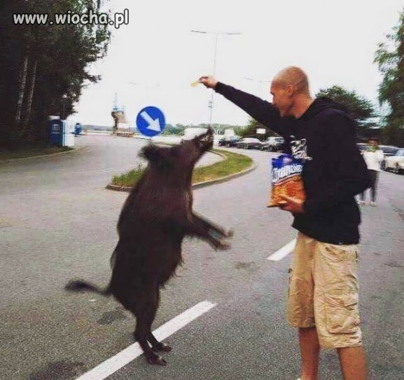 Tymczasem nad morzem