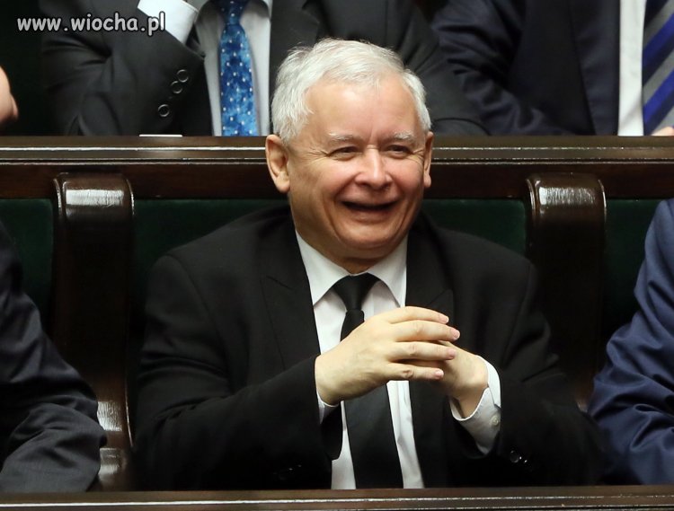Radość gdy kupiłeś stado baranów za ich własne 