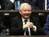 Radość gdy kupiłeś stado baranów za ich własne 