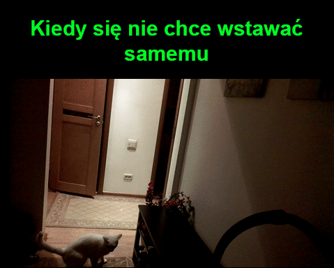 Kiedy jesteś zbyt leniwy, żeby wyłączyć światło 