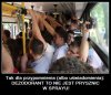 Tak dla przypomnienia