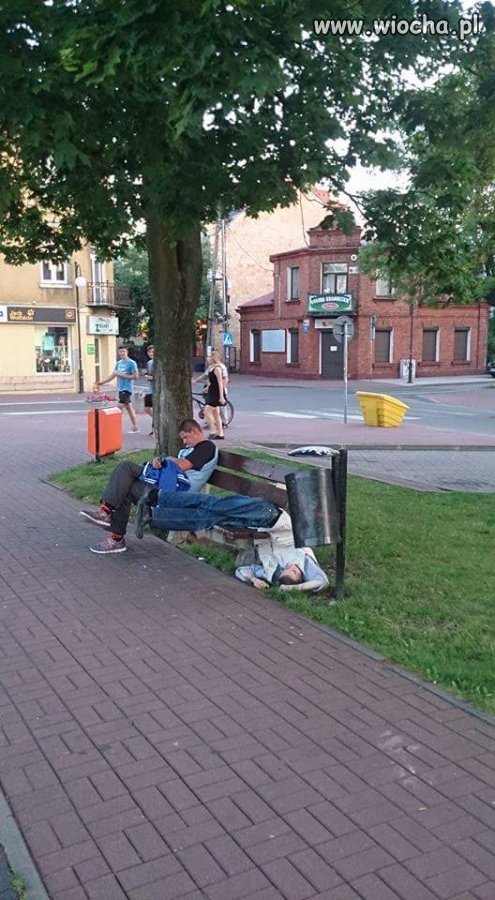 Mistrz 
