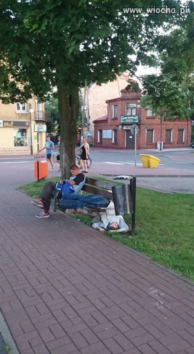 Mistrz 