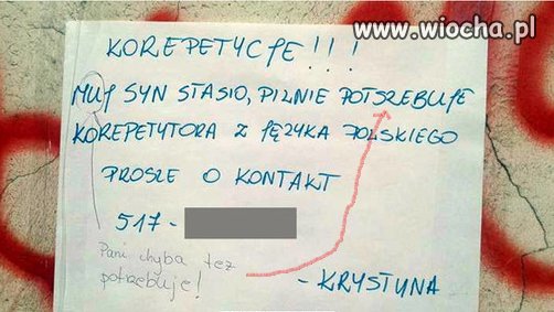Niedaleko pada jabłko od jabłoni.
