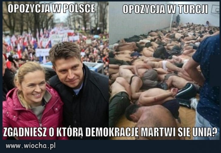 Opozycja w ustroju demokratycznym...