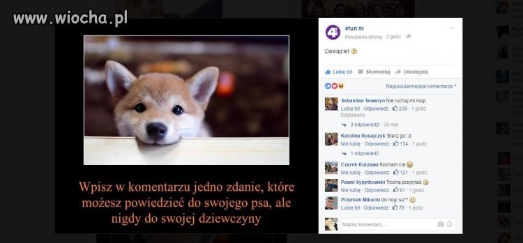 świetne odpowiedzi