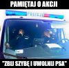 Dbajmy o psy