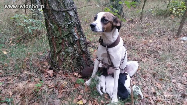 Pojechali na wakacje...