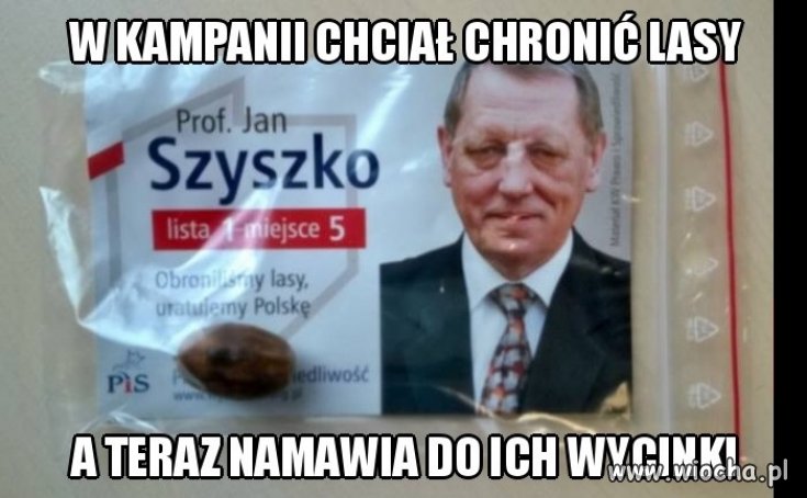 W KAMPANII CHCIAŁ CHRONIĆ LASY