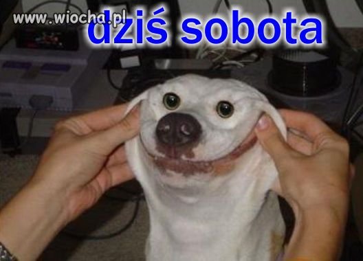 Sobota!