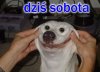 Sobota!