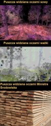 Jedna puszcza w trzech wersjach