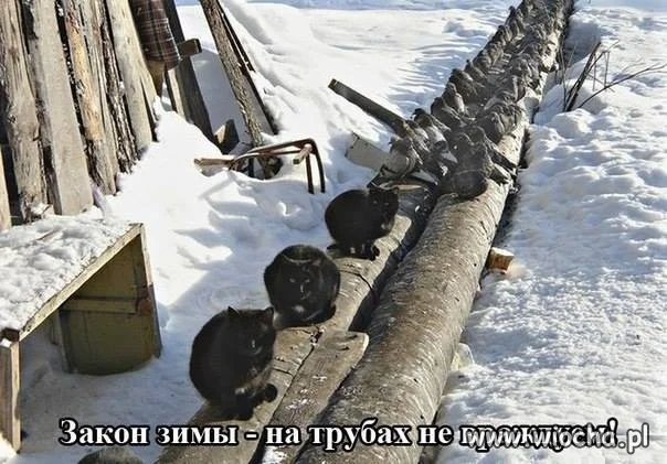 Taka sytuacja.