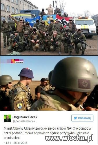 Nasi towarzysze broni w drodze do NATO.