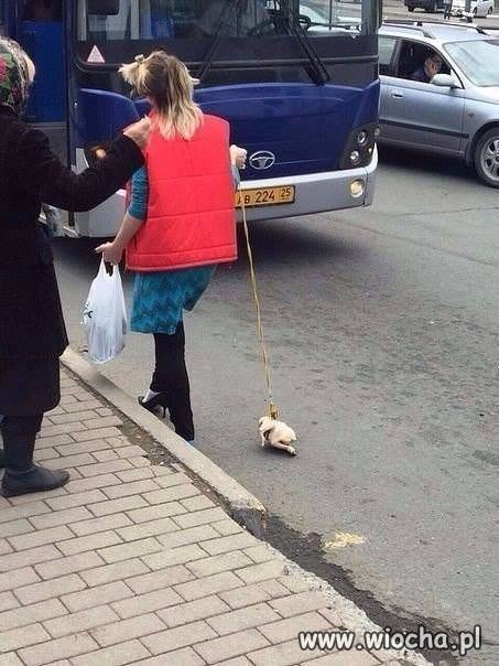 Na spacerze...