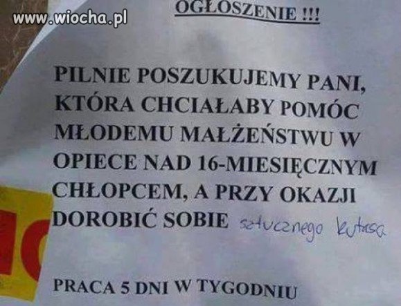 Jajcarz.