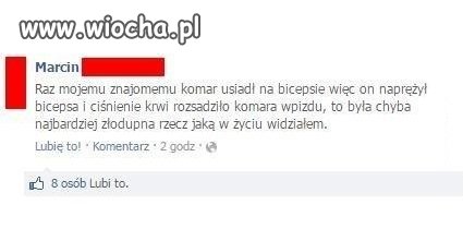 Piękna historia