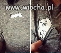 Ciekawość 