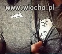 Ciekawość 
