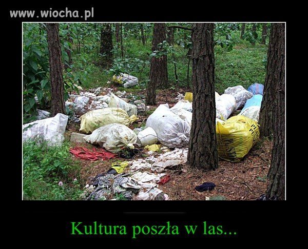 Kultura