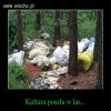 Kultura