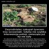 Szczyt okrucieństwa !