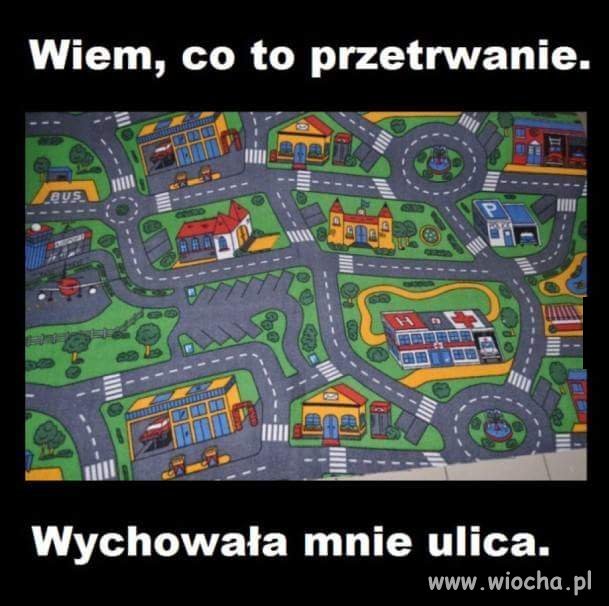 Cała prawda o wychowaniu 