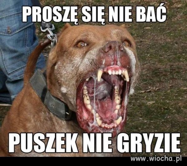 Proszę się nie bać