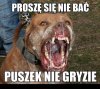 Proszę się nie bać