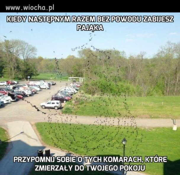 Kiedy następnym razem 