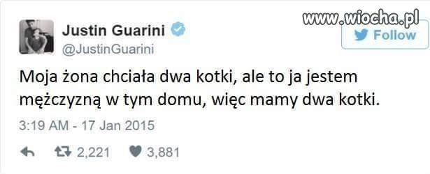 Dwa kotki